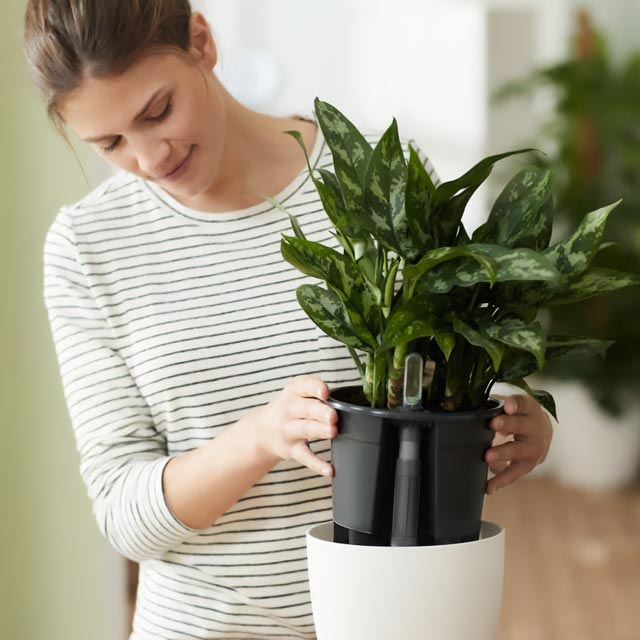 Universal Fit: Compatible with most indoor pots and ceramic containers