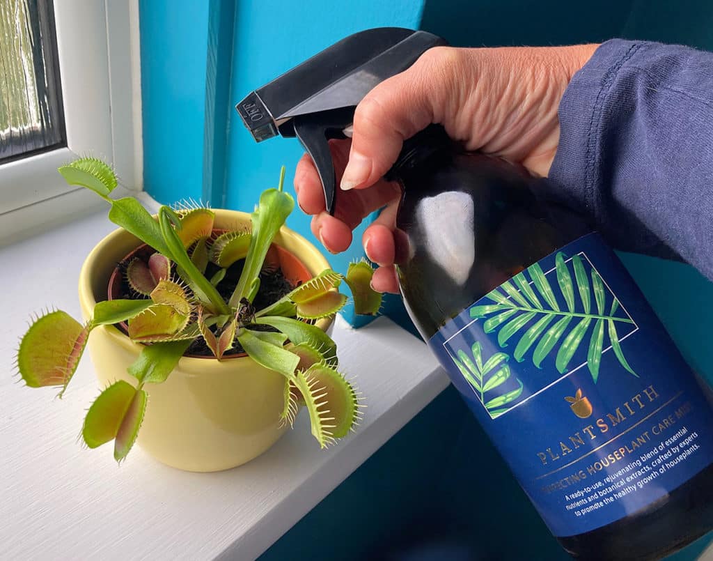 Misting Venus flytrap with Perfecting Houseplant Care Mist