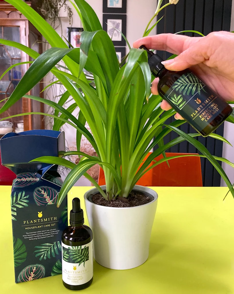 Houseplant Care Gift Set with houseplant