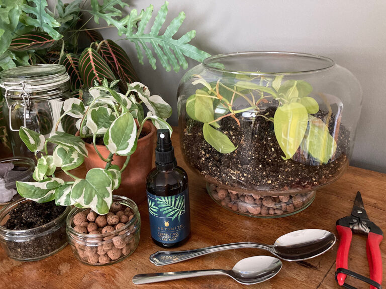 Houseplant Care Mist, terrarium and tools