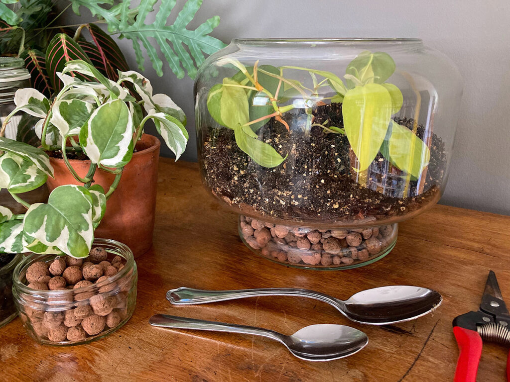 Finished terrarium