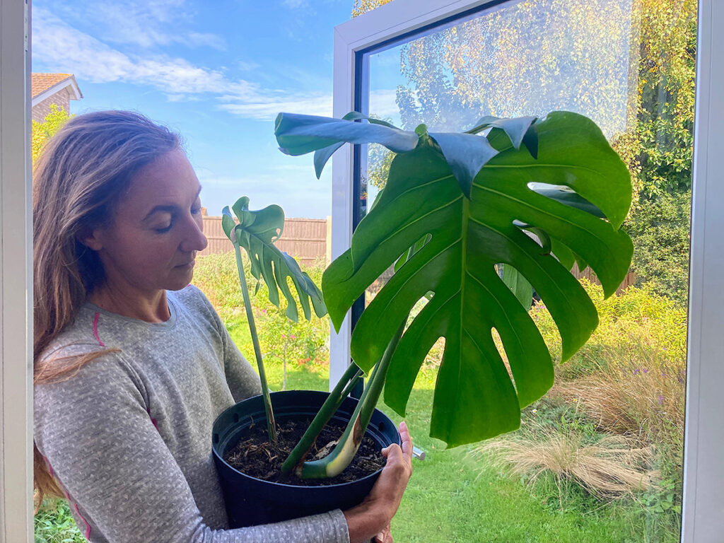 Debi Holland bringing houseplant inside for autumn