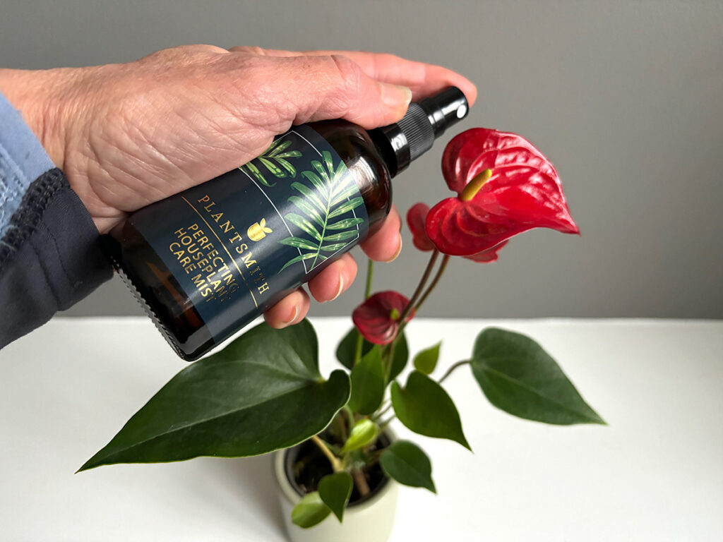 Anthurium care mist