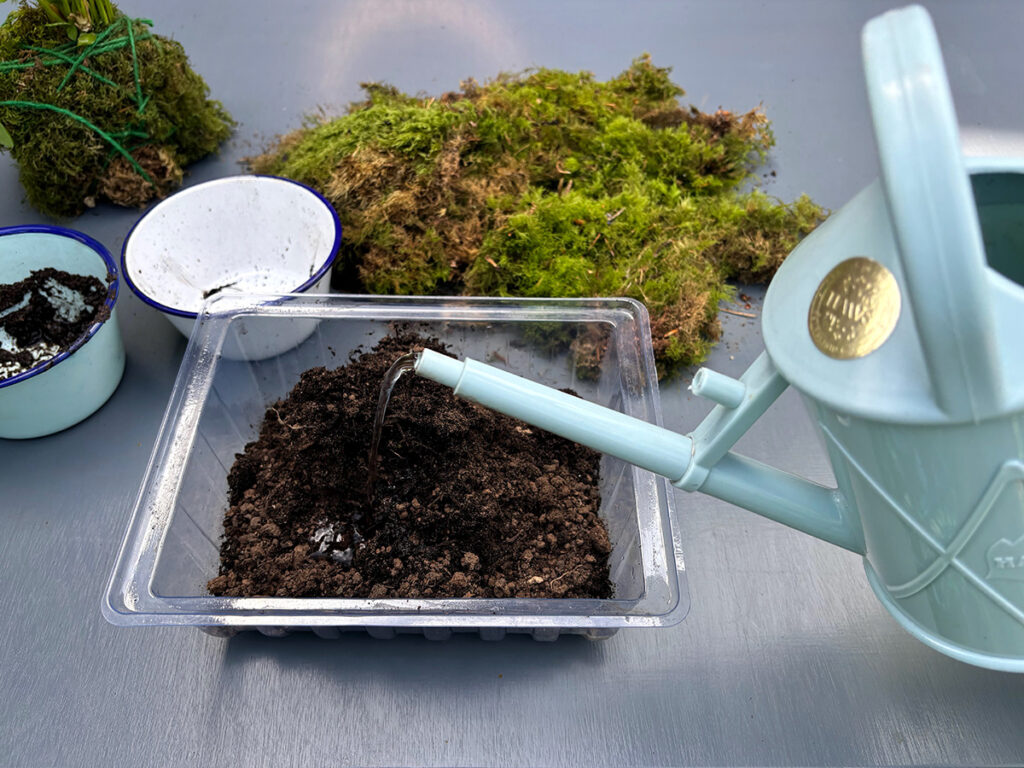 Adding water to kokedama compost mix