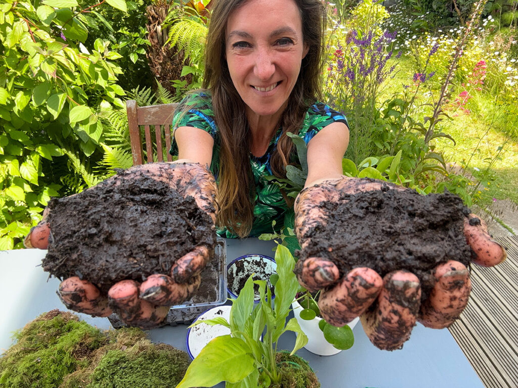Dividing soil ball into halves for kokedama