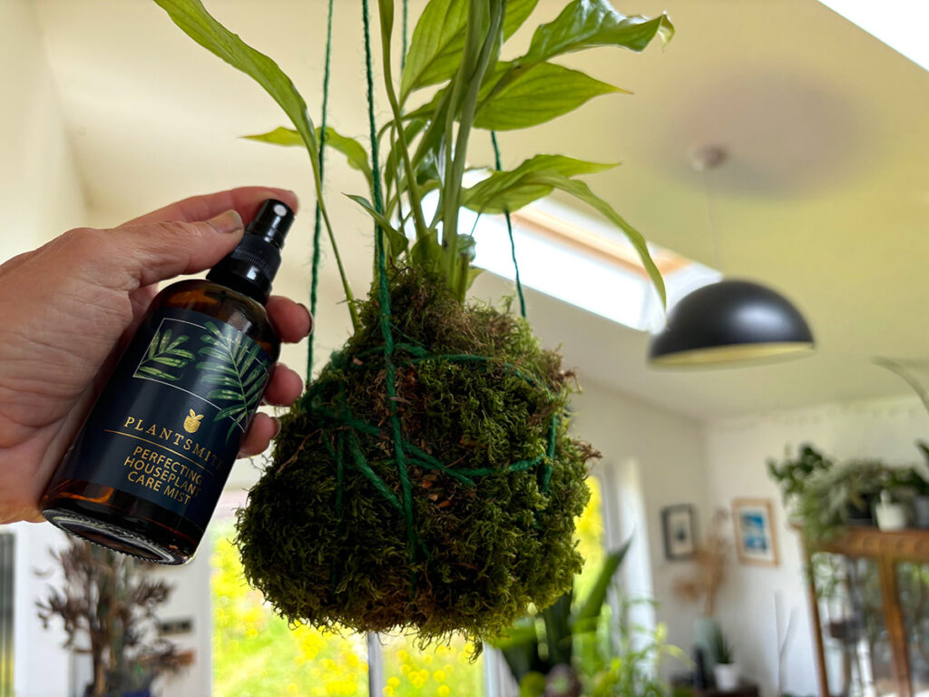 making kokedama