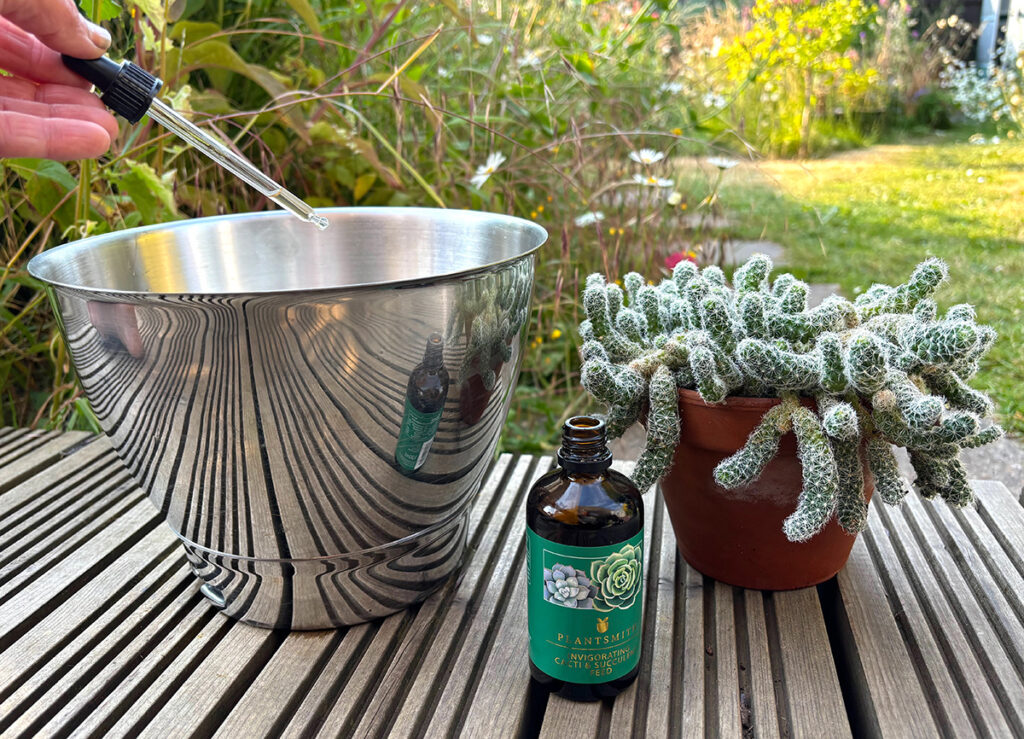 Plantsmith Invigorating cacti feed